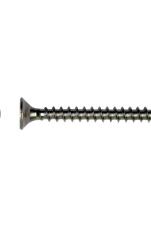 Bestseller Schroeven RVS 6 x 80 mm torx (per 200 stuks)